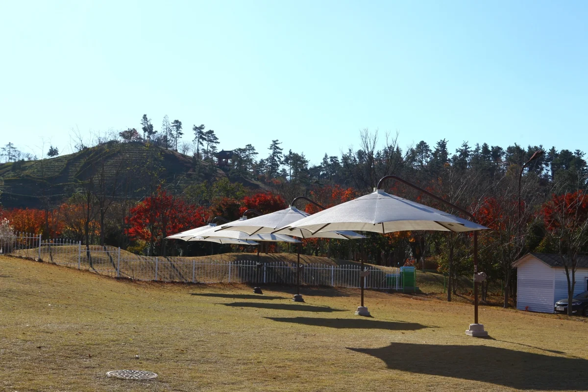 순천만국가정원 - 3월여행 여행