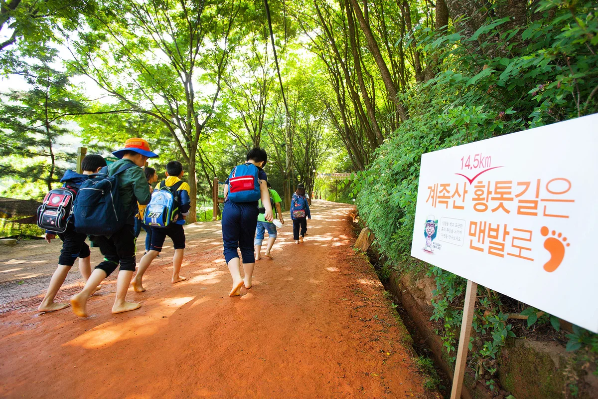 계족산 - 대덕 여행