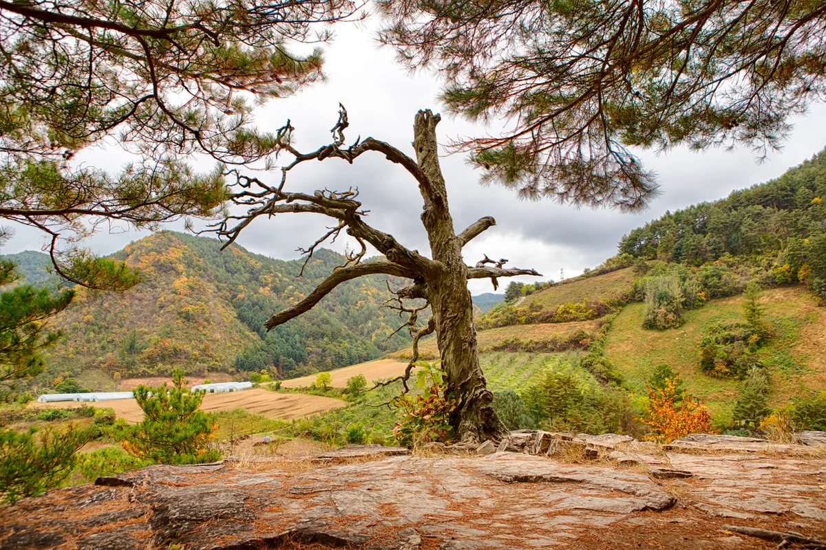 몰운대 - 부산여행 여행
