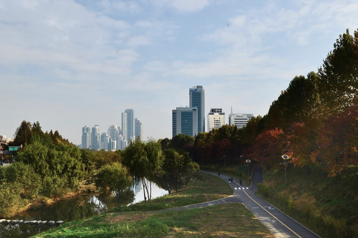 양재천 - 강남구 여행
