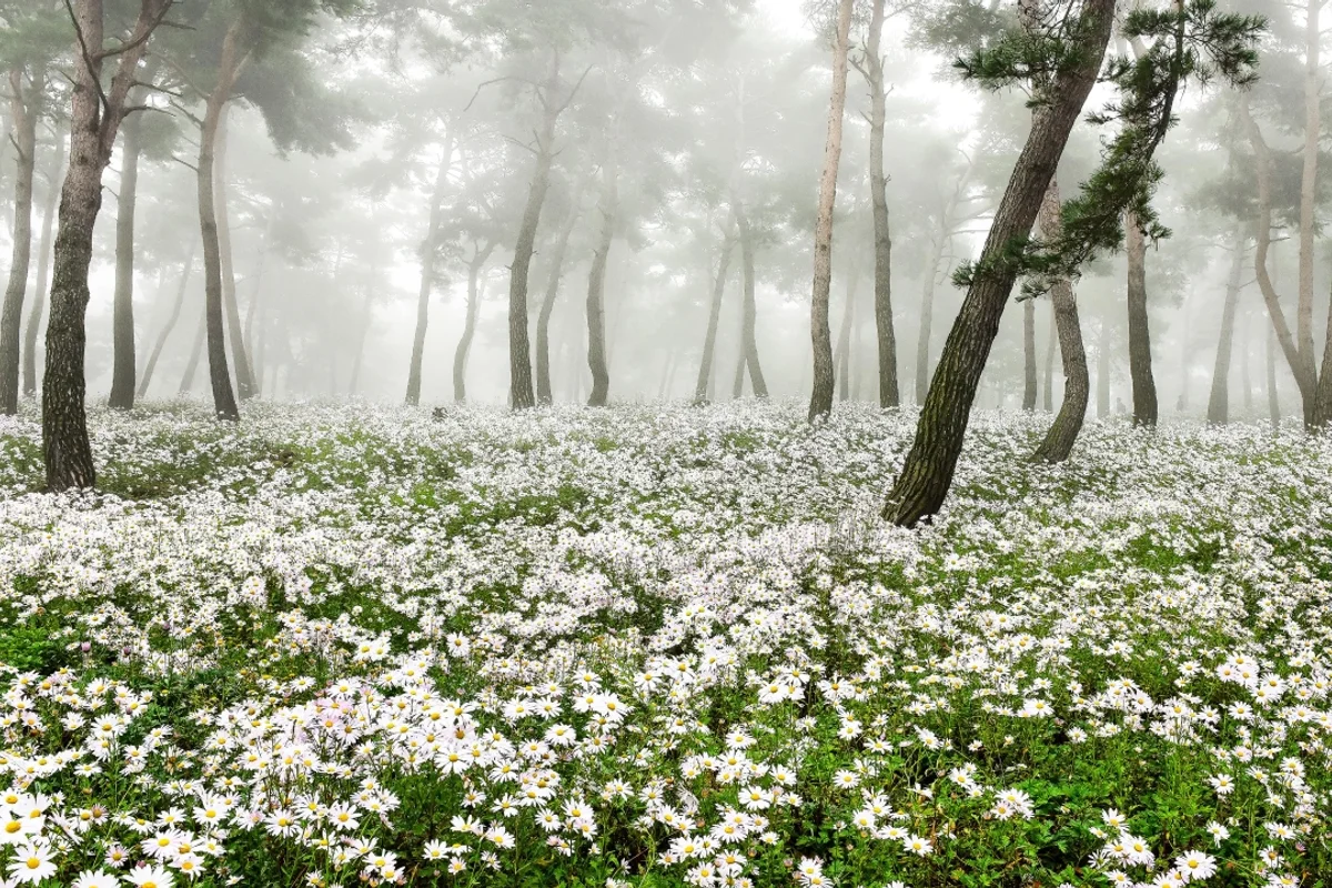 정읍 주말 나들이 (출처 : 한국관광공사)