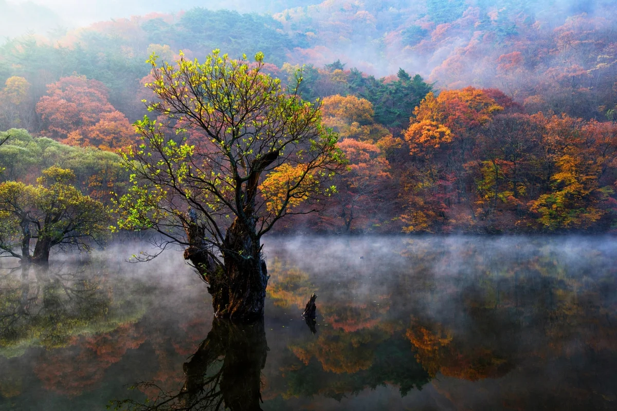 주왕산 관광지 (출처 : 한국관광공사)