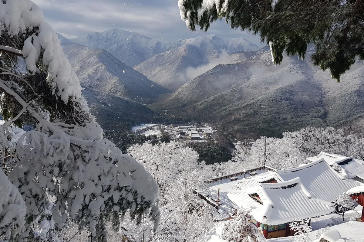 군파크 루지 테마파크 - 청도군 여행