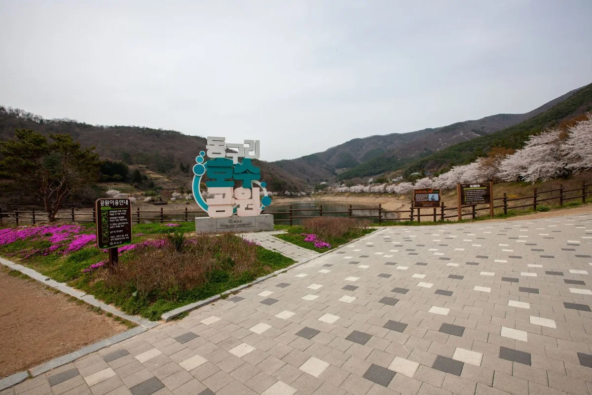 구리 벚꽃 (출처 : 한국관광공사)