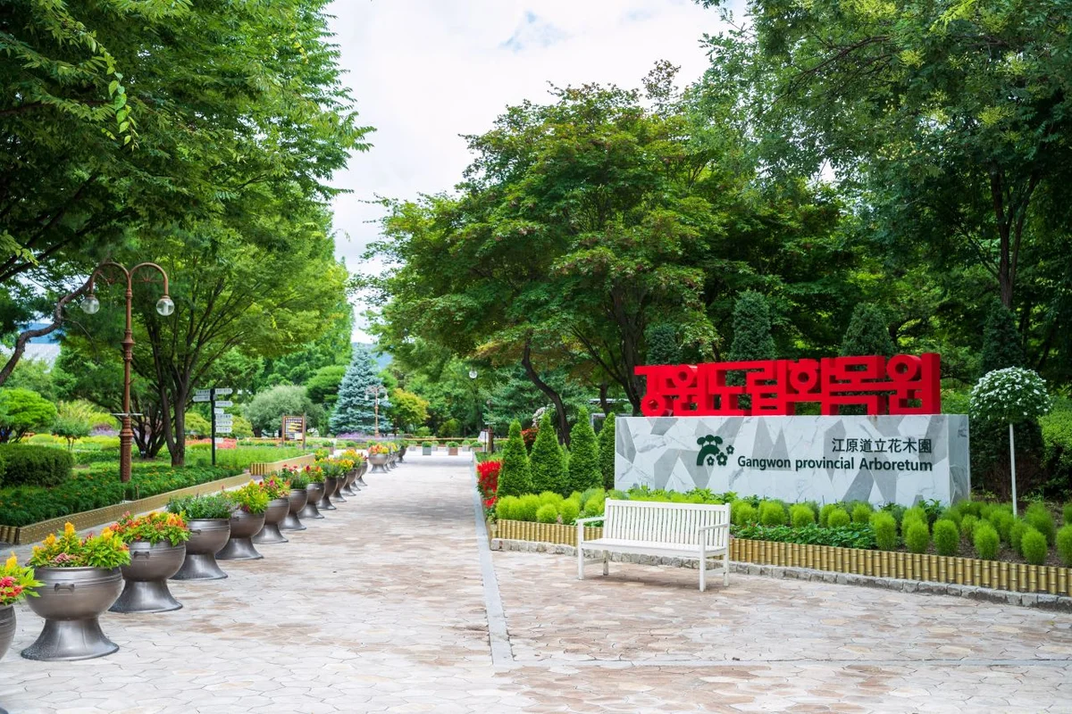 춘천 축제 (출처 : 한국관광공사)