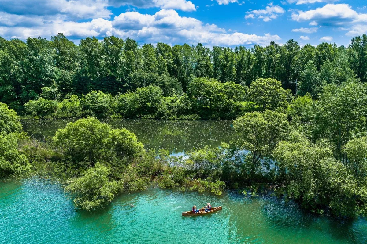 남양주시 봄 가볼만한곳 물의정원 - 남양주 여행