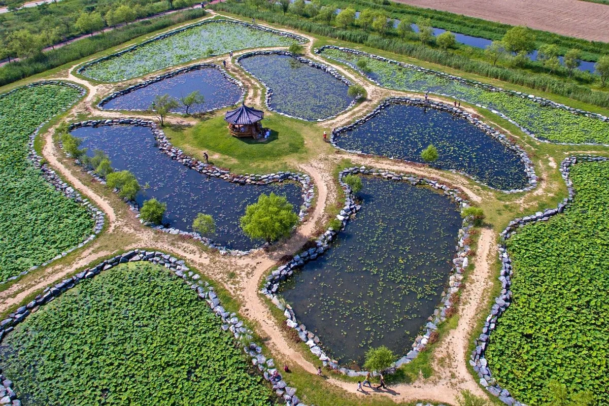 사상구 봄 가볼만한곳: 삼락생태공원 - 사상구여행 여행