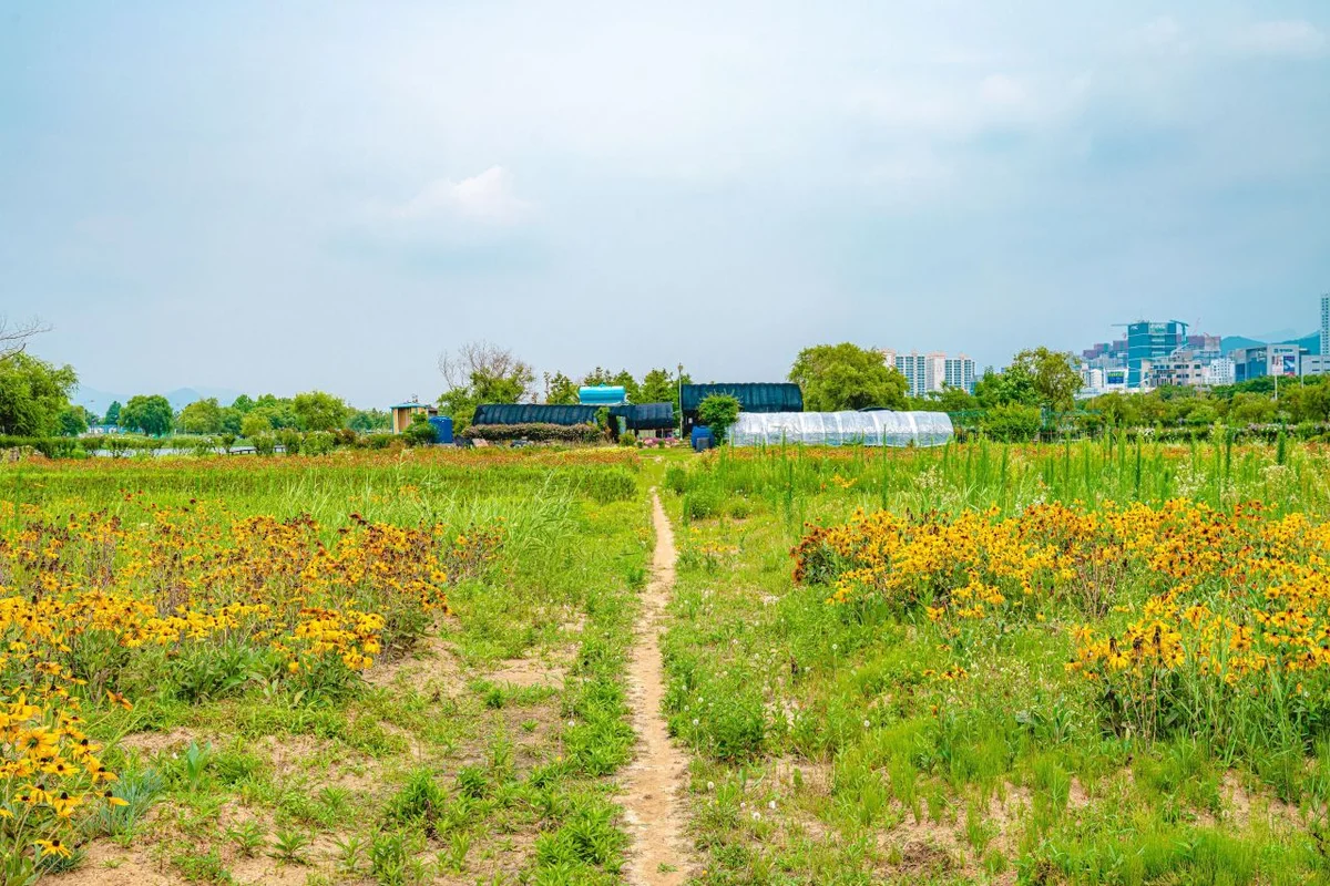 사상구 봄 가볼만한곳 (출처 : 한국관광공사)