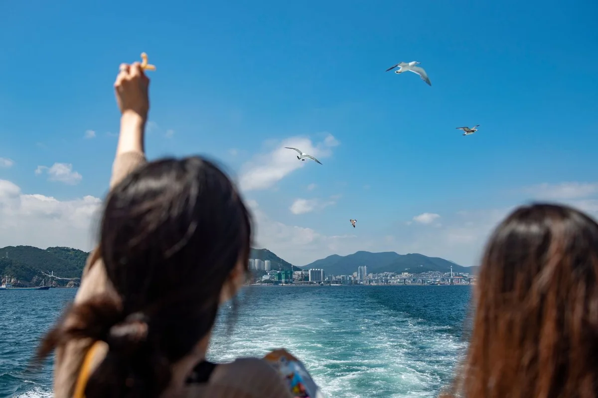 자갈치크루즈 - 자갈치시장 여행