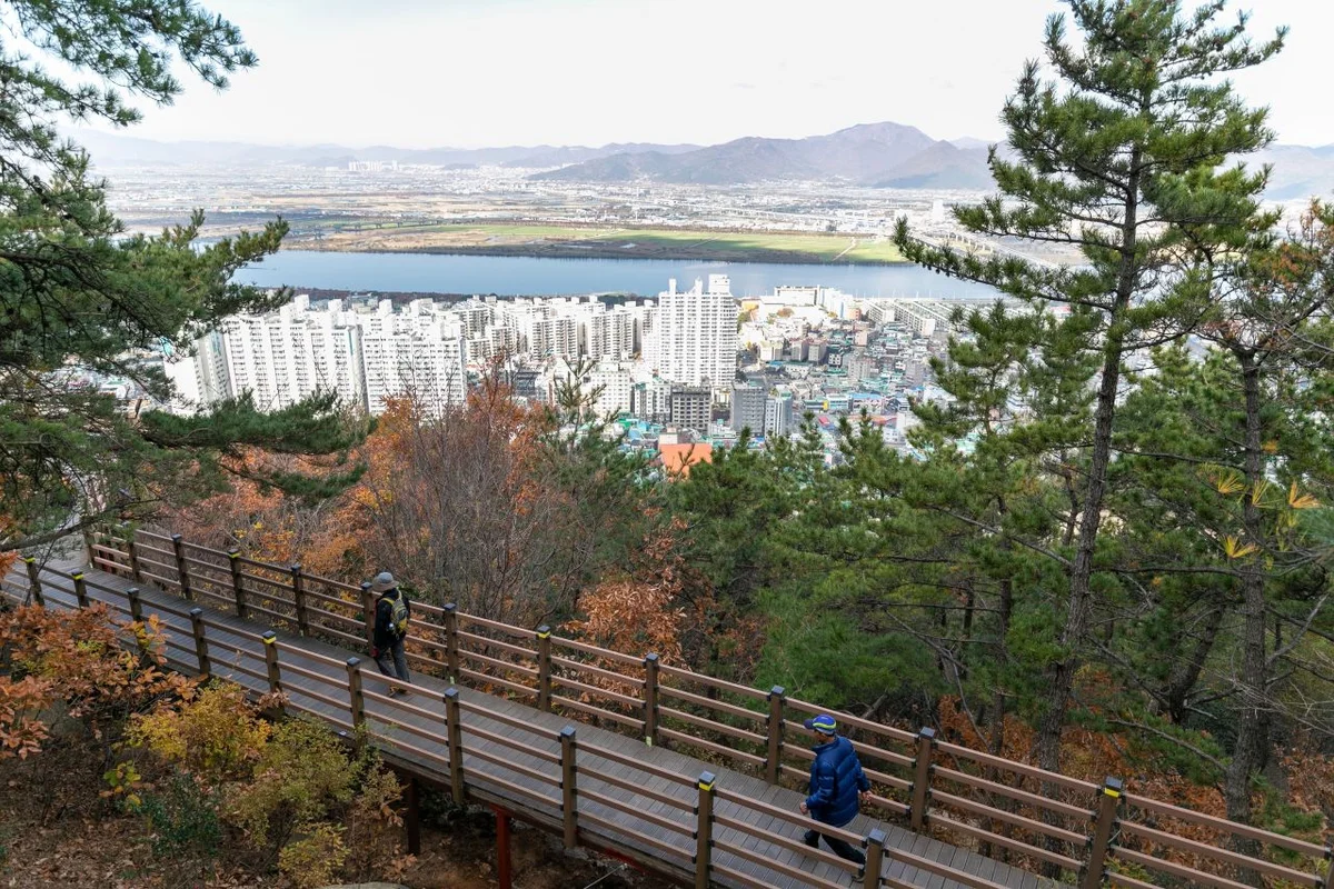 구포무장애숲길 - 사상구여행 여행