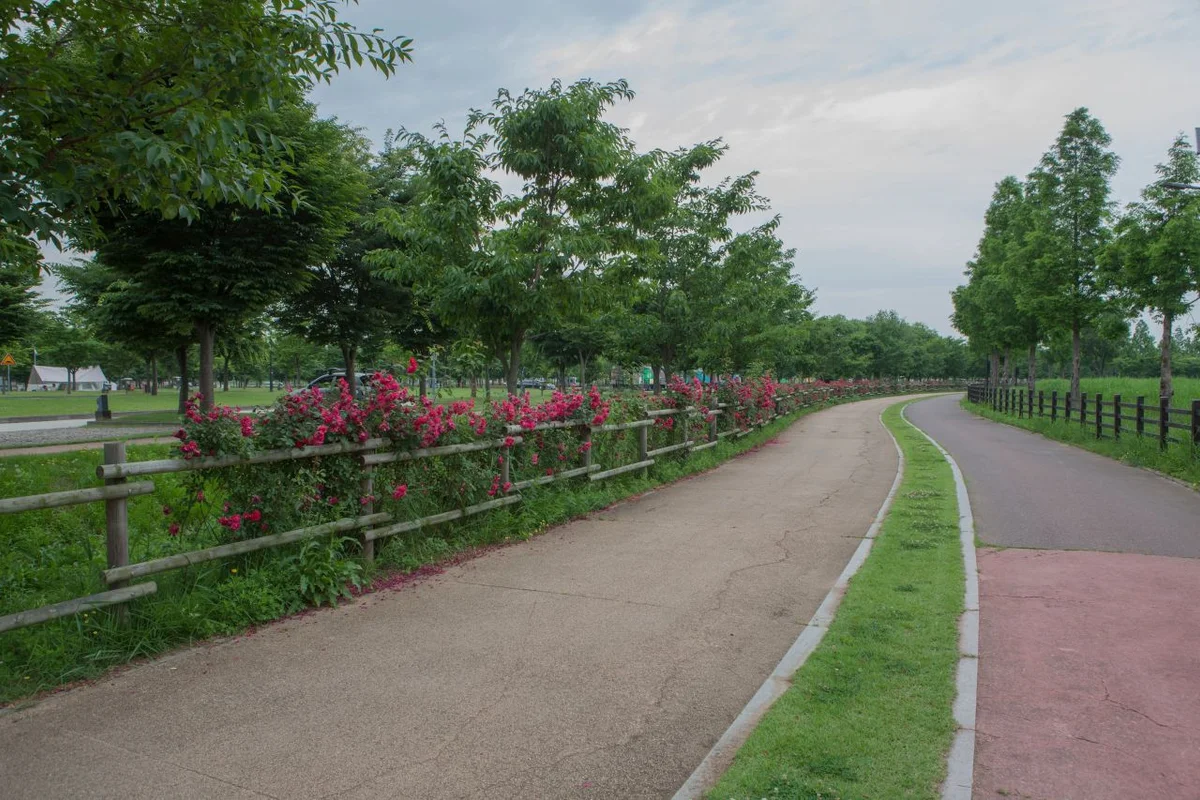 낙동강체육공원 - 구미여행 여행