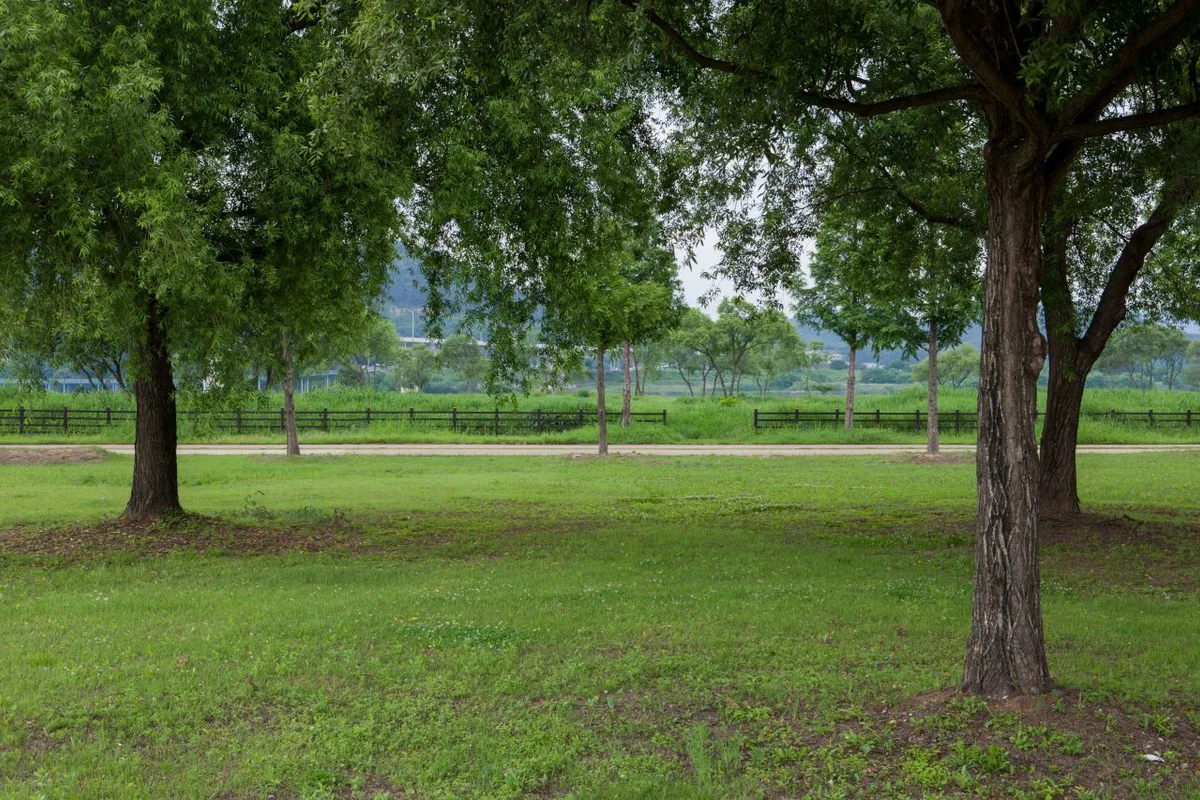 농부의정원 체험농장 - 구미여행 여행