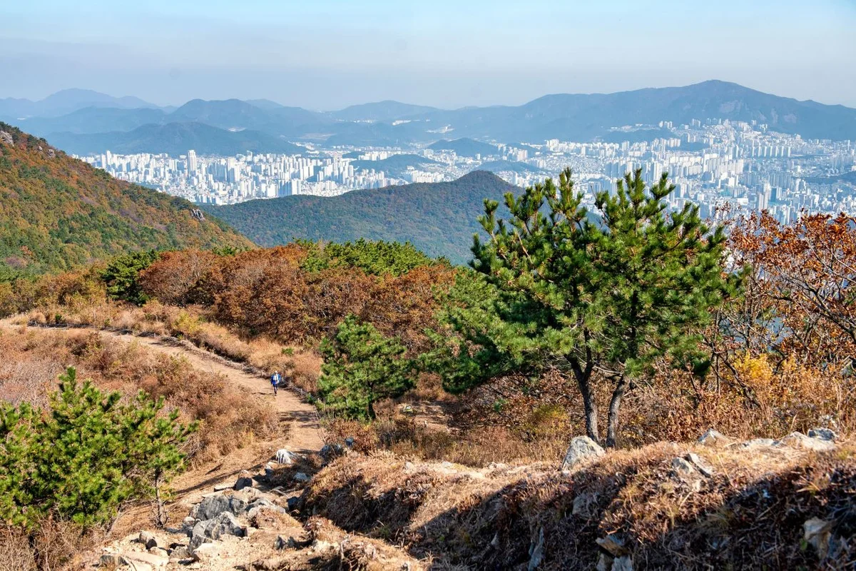 부산진구 반려견 동반 (출처 : 한국관광공사)