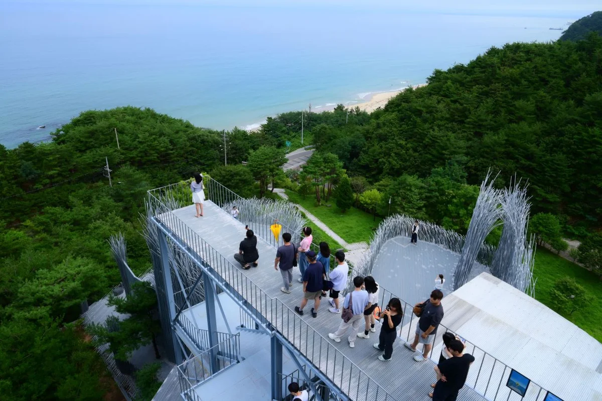 하슬라아트월드 야경 명소 (출처 : 한국관광공사)
