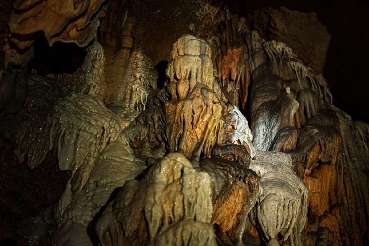 3월 충청북도 축제 일정 장소 프로그램 (출처 : 한국관광공사)