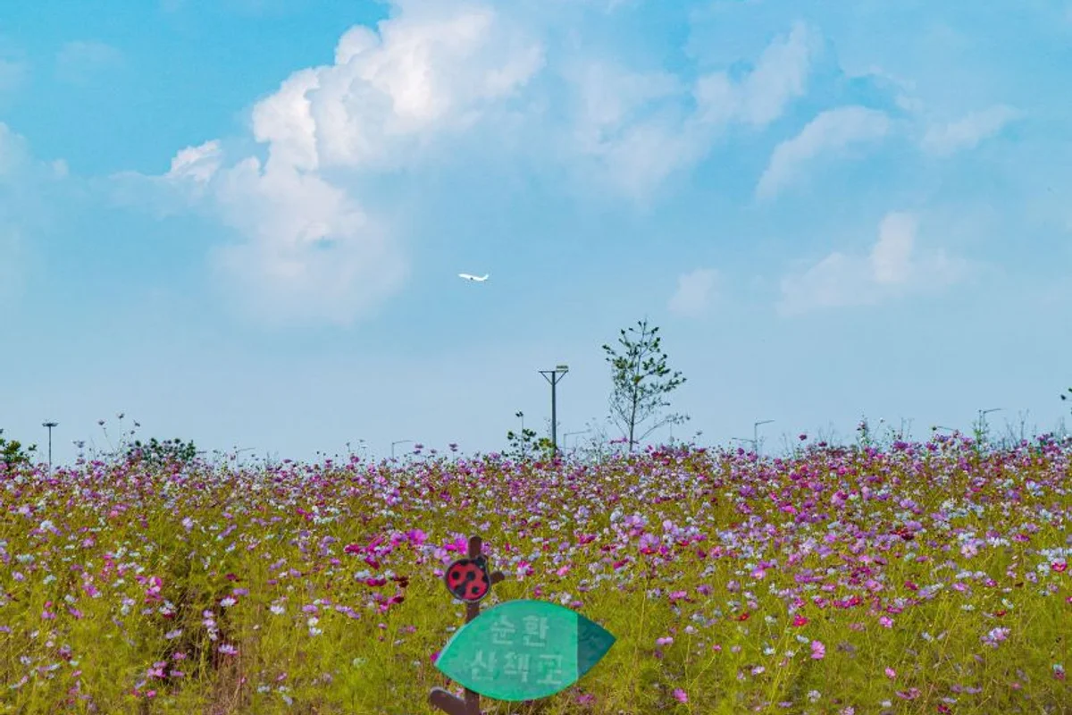 양구 즐길거리 (출처 : 한국관광공사)