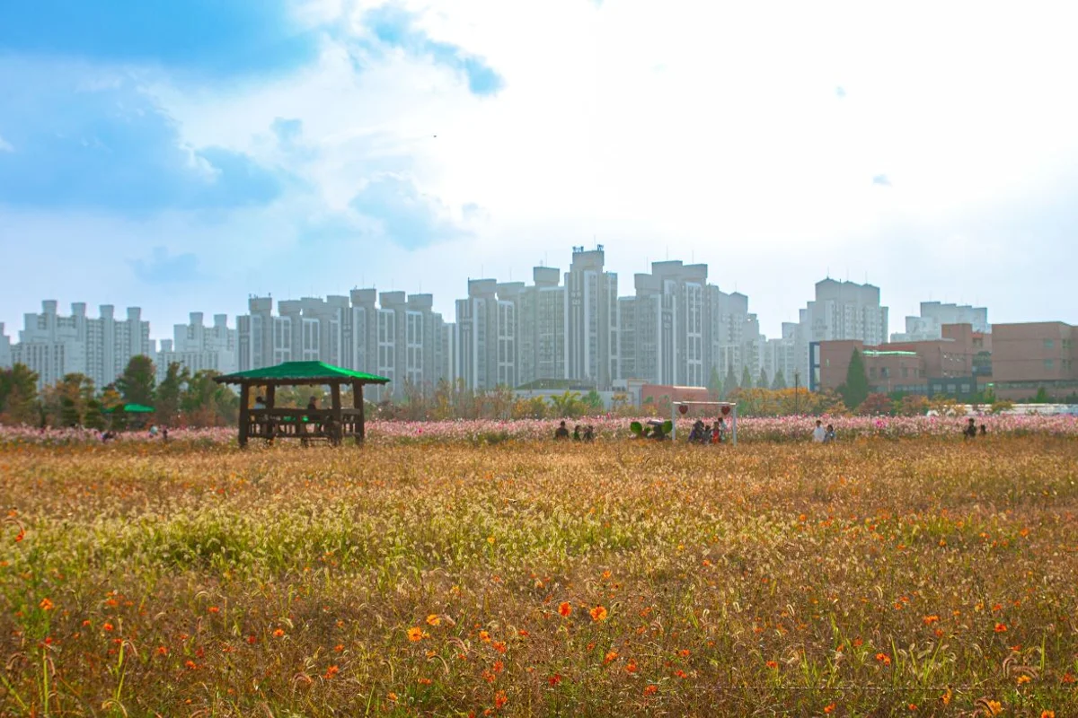 제4땅굴 및 을지전망대 - 양구여행 여행