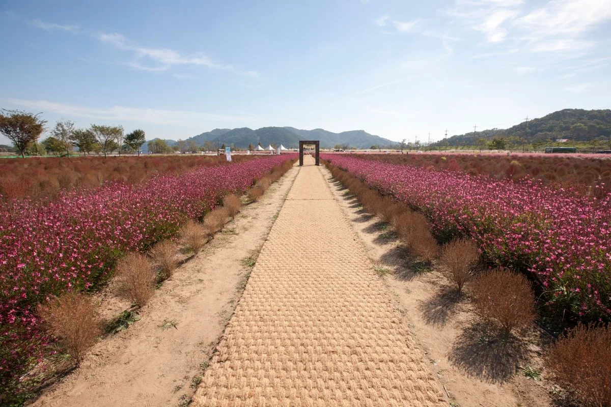 의령군민문화회관 - 의령군 여행