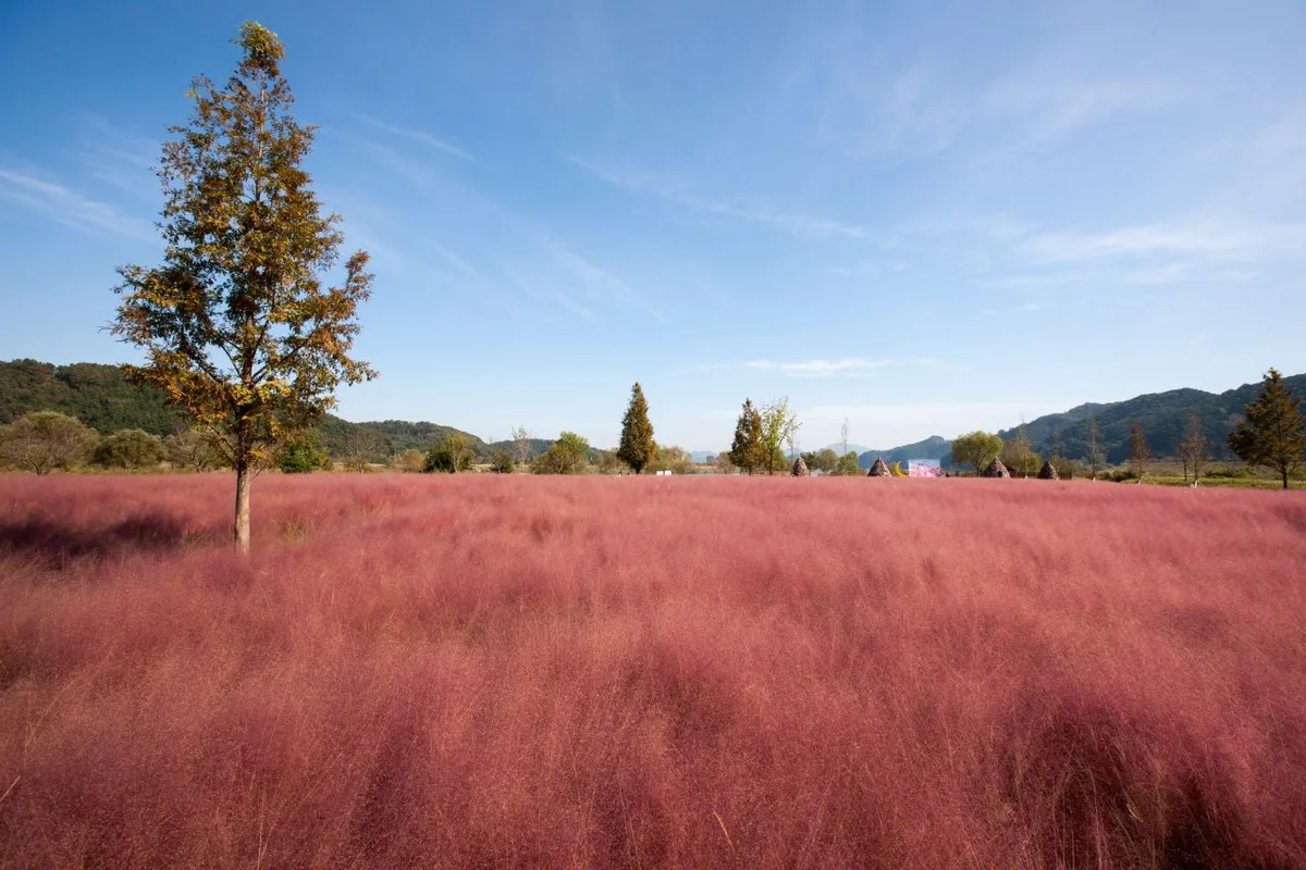 호국의병의숲 친수공원 - 의령군 여행