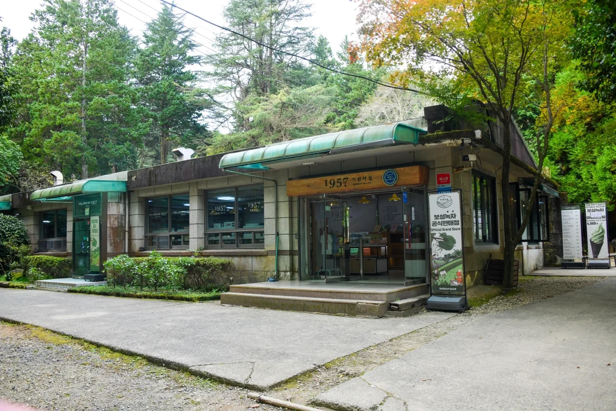 보성녹차밭 캠핑장 추천: 보성드림캠핑장 - 보성여행 여행