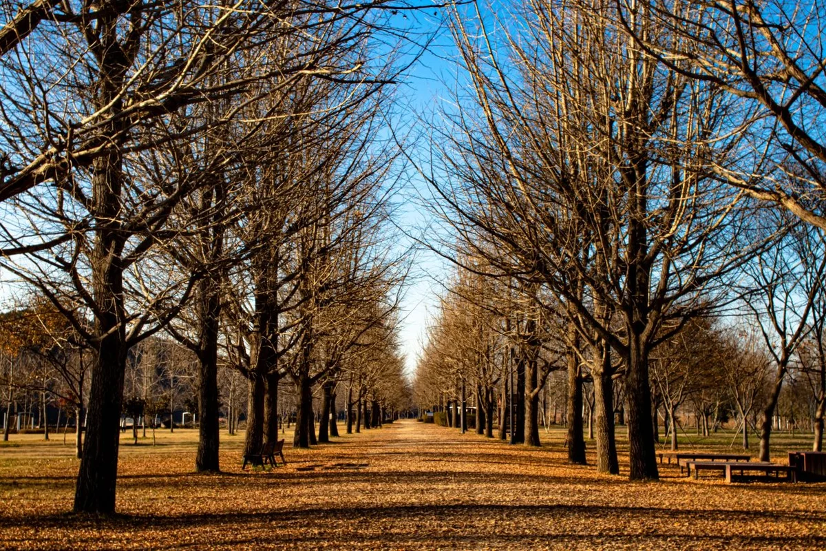 여주 출렁다리 - 여주여행 여행