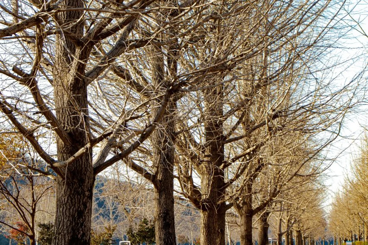 강천섬유원지 - 여주여행 여행