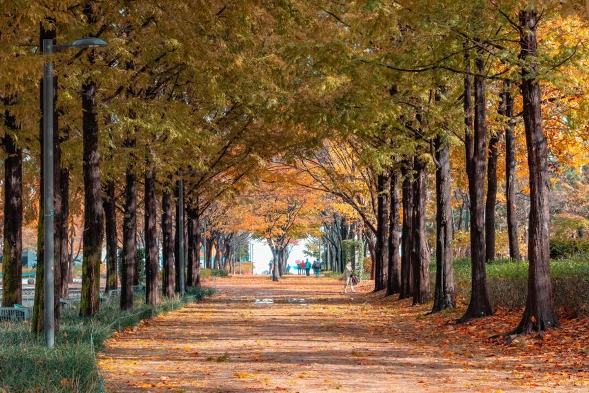 서울숲 - 성수동 여행