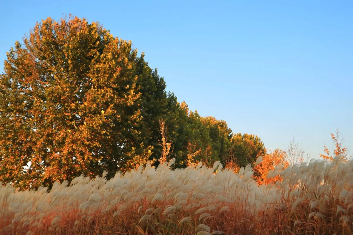 서울대학교 농업생명과학대학 수원수목원 - 탑동서핑 여행