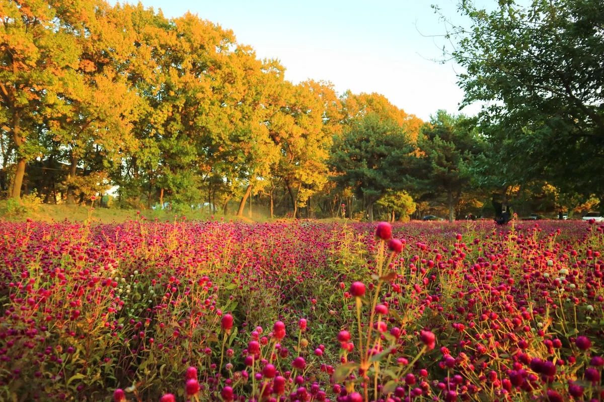 수원시기후변화체험교육관 - 탑동서핑 여행