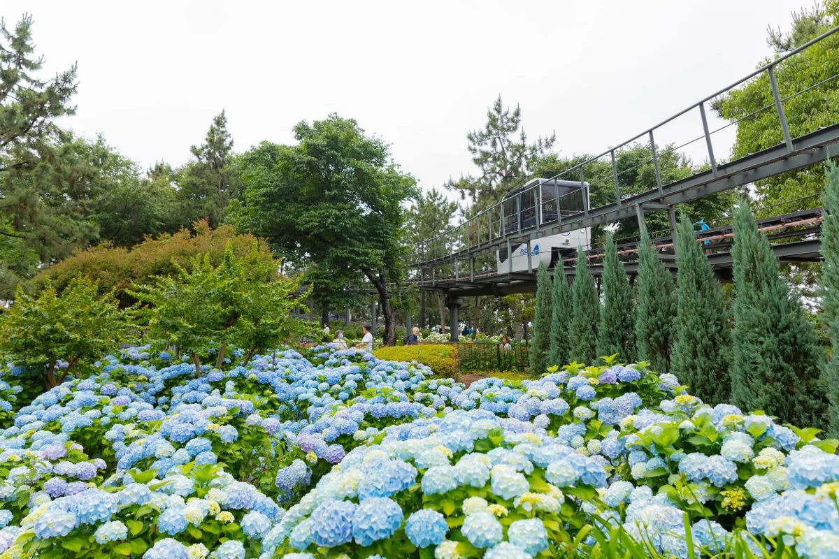 장생포 모노레일 - 장생포 여행