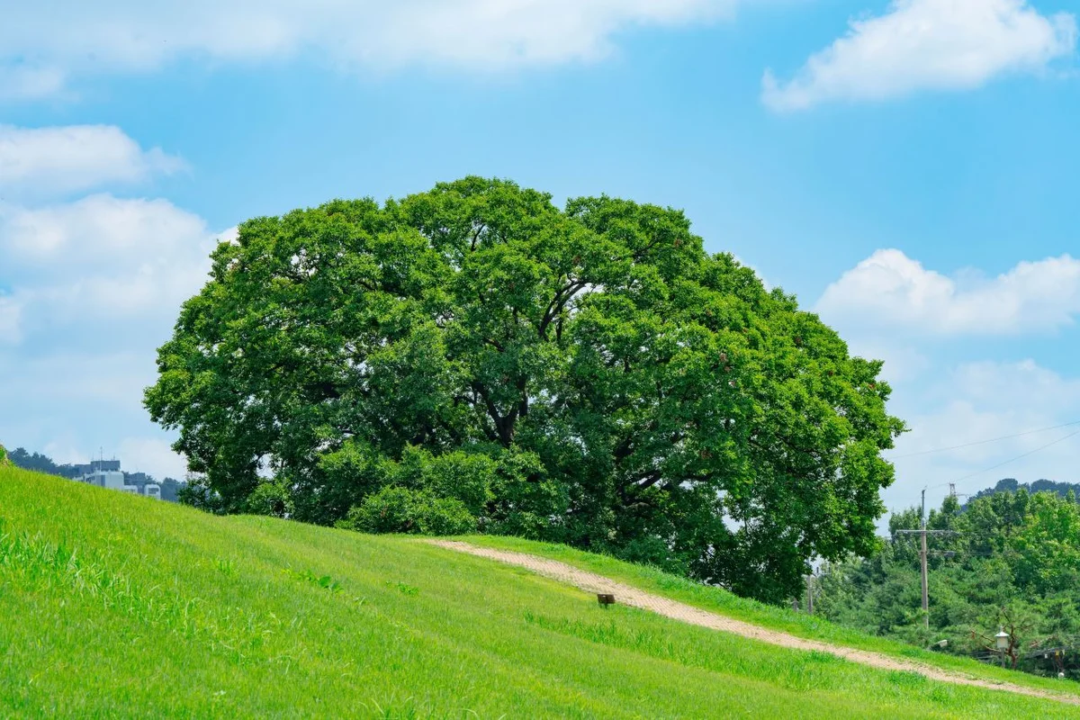 김해 혼행 (출처 : 한국관광공사)