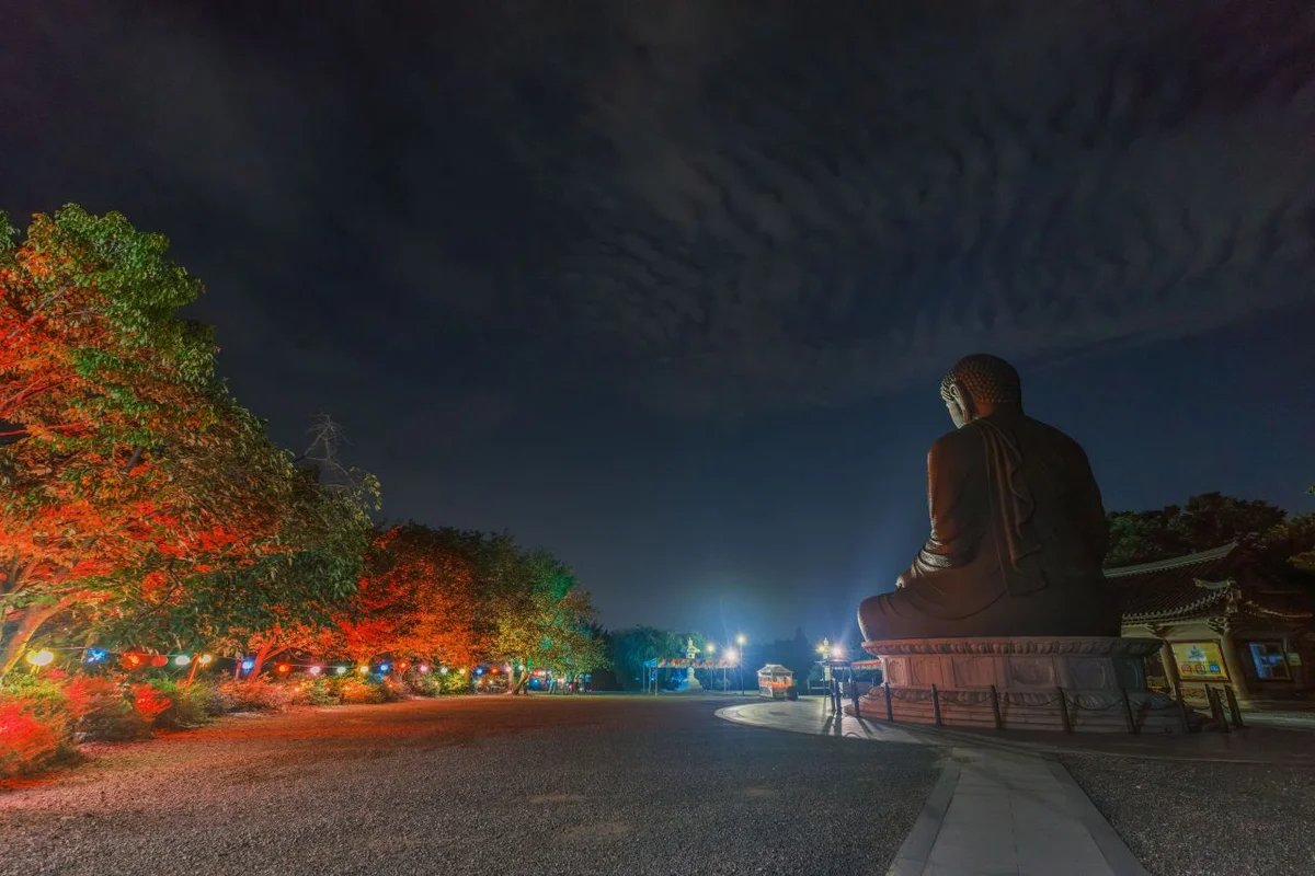 실개천생태공원 - 목동 여행