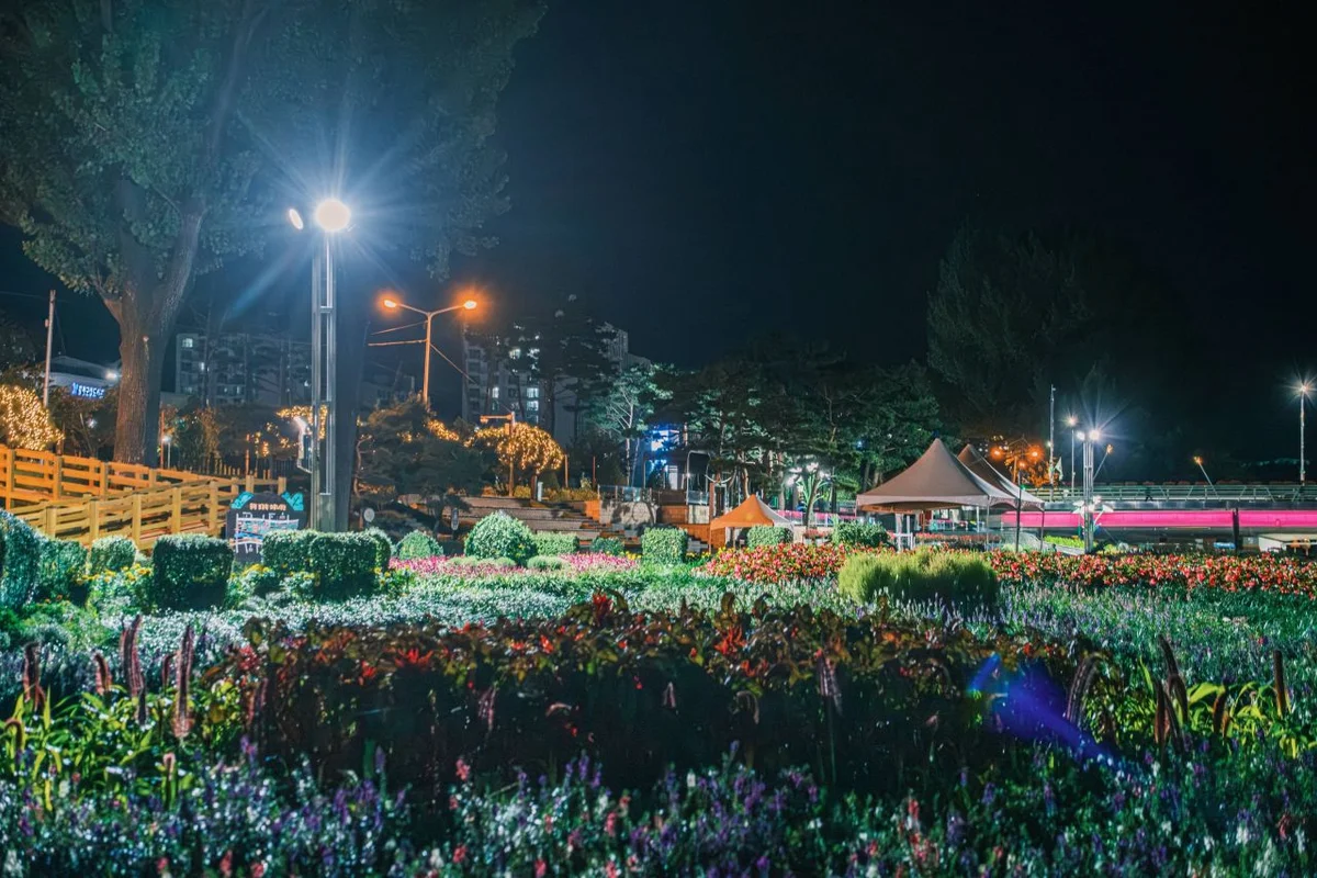 벨포레 미디어아트센터 - 증평여행 여행