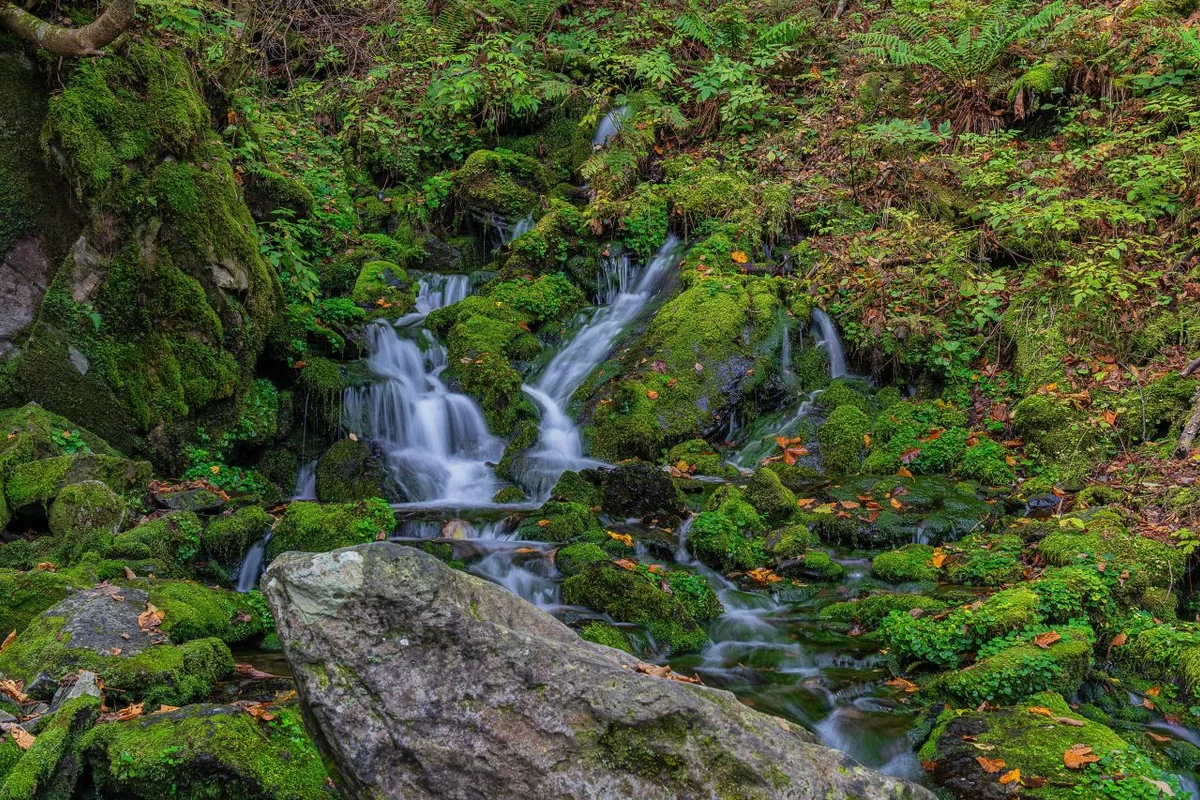 정선 드라이브 (출처 : 한국관광공사)