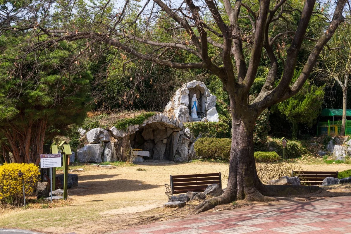 칠곡보사계절썰매장 - 칠곡여행 여행