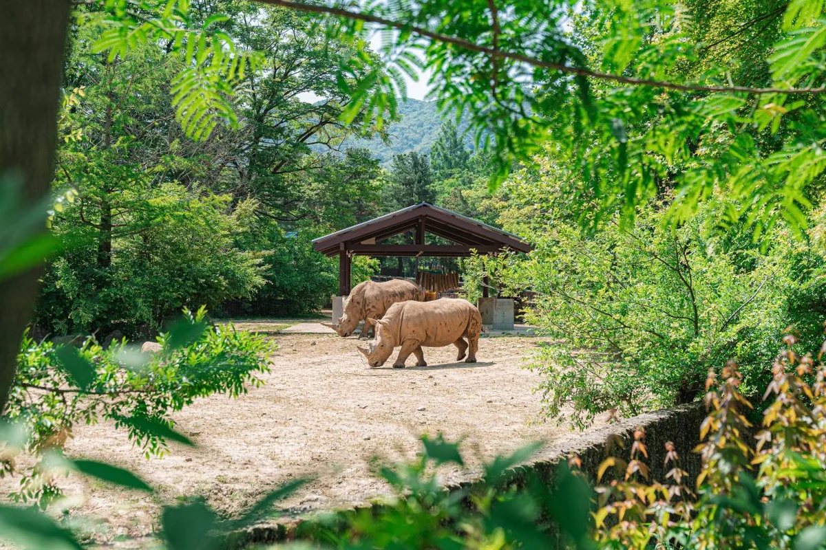 서울대공원 - 과천시 관광 여행