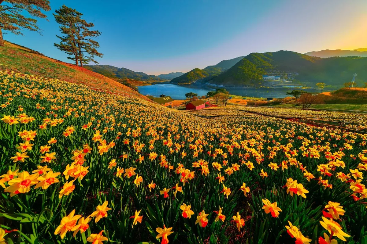 지리산치즈랜드 - 구례 짚라인 여행