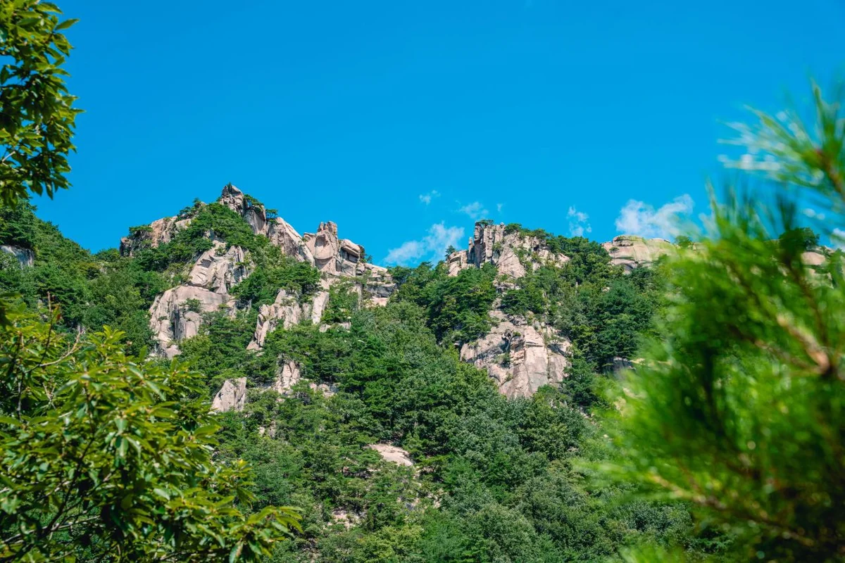 황매산 - 합천여행 여행