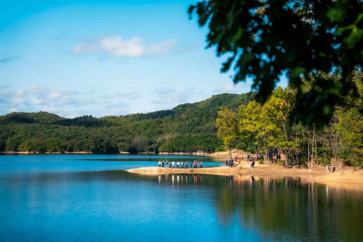 4월축제 가볼만한곳 (출처 : 한국관광공사)