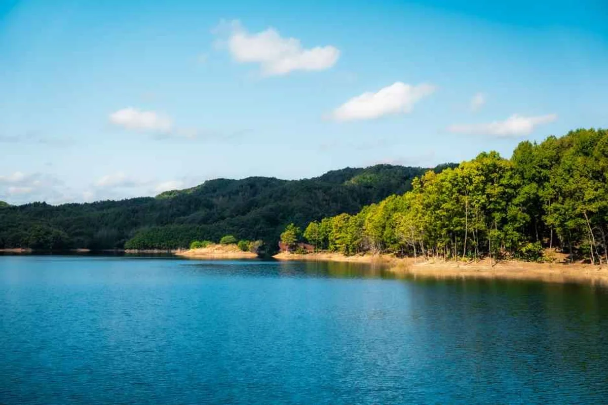 의정부 호원 벚꽃 페스타 - 4월축제 여행
