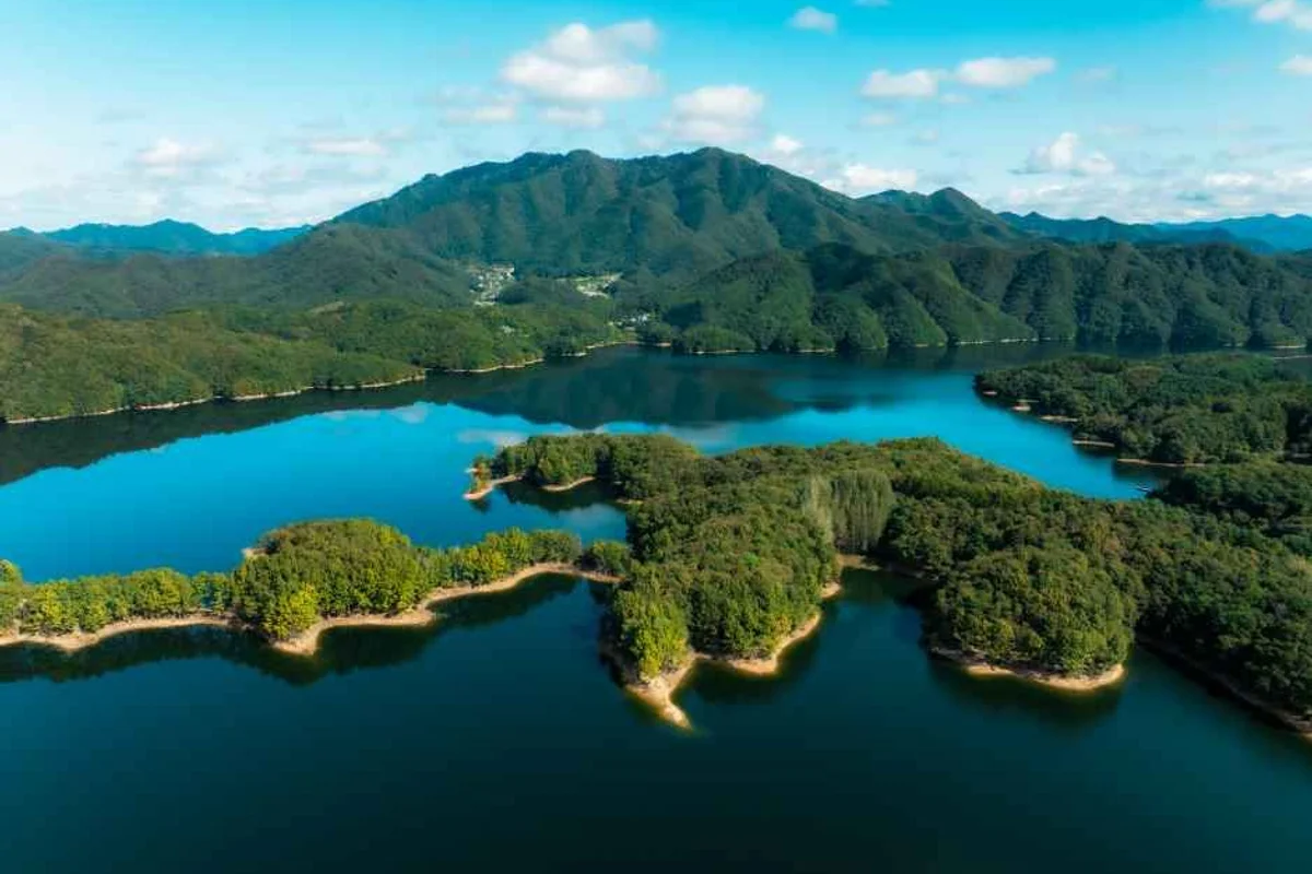 단양 소백산 철쭉제 - 4월축제 여행