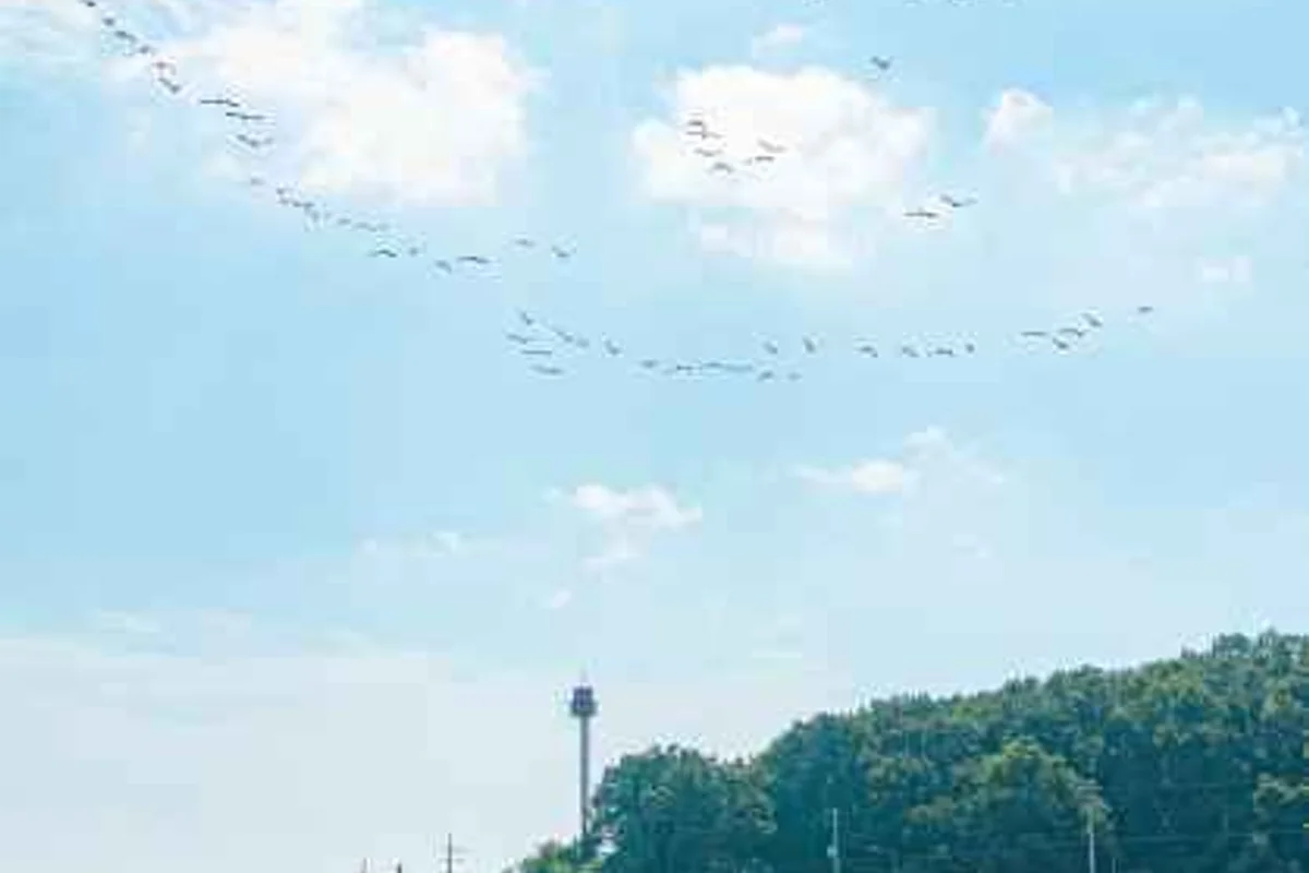 인천 공항 장기 주차 팁 (출처 : 한국관광공사)