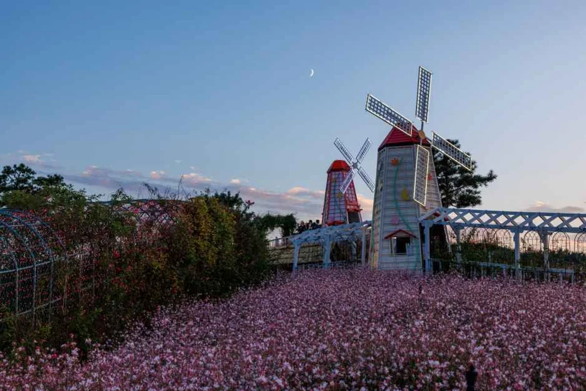 3월 강원도 축제 일정 장소 프로그램 (출처 : 한국관광공사)