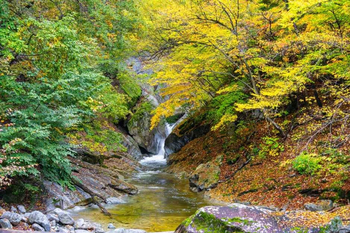 남포동 계곡 피서지 (출처 : 한국관광공사)
