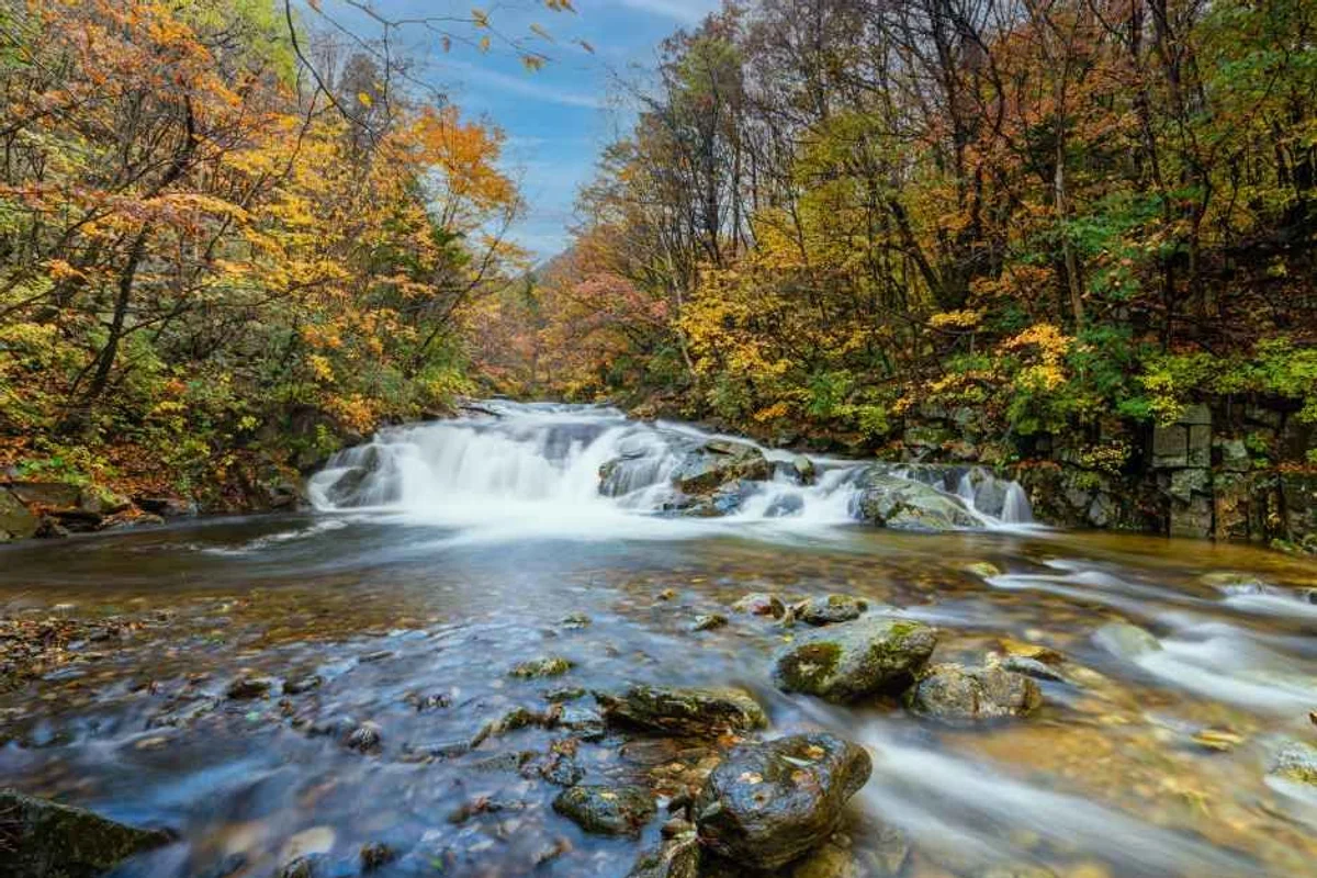 발왕산 관광케이블카 - 오대산 여행