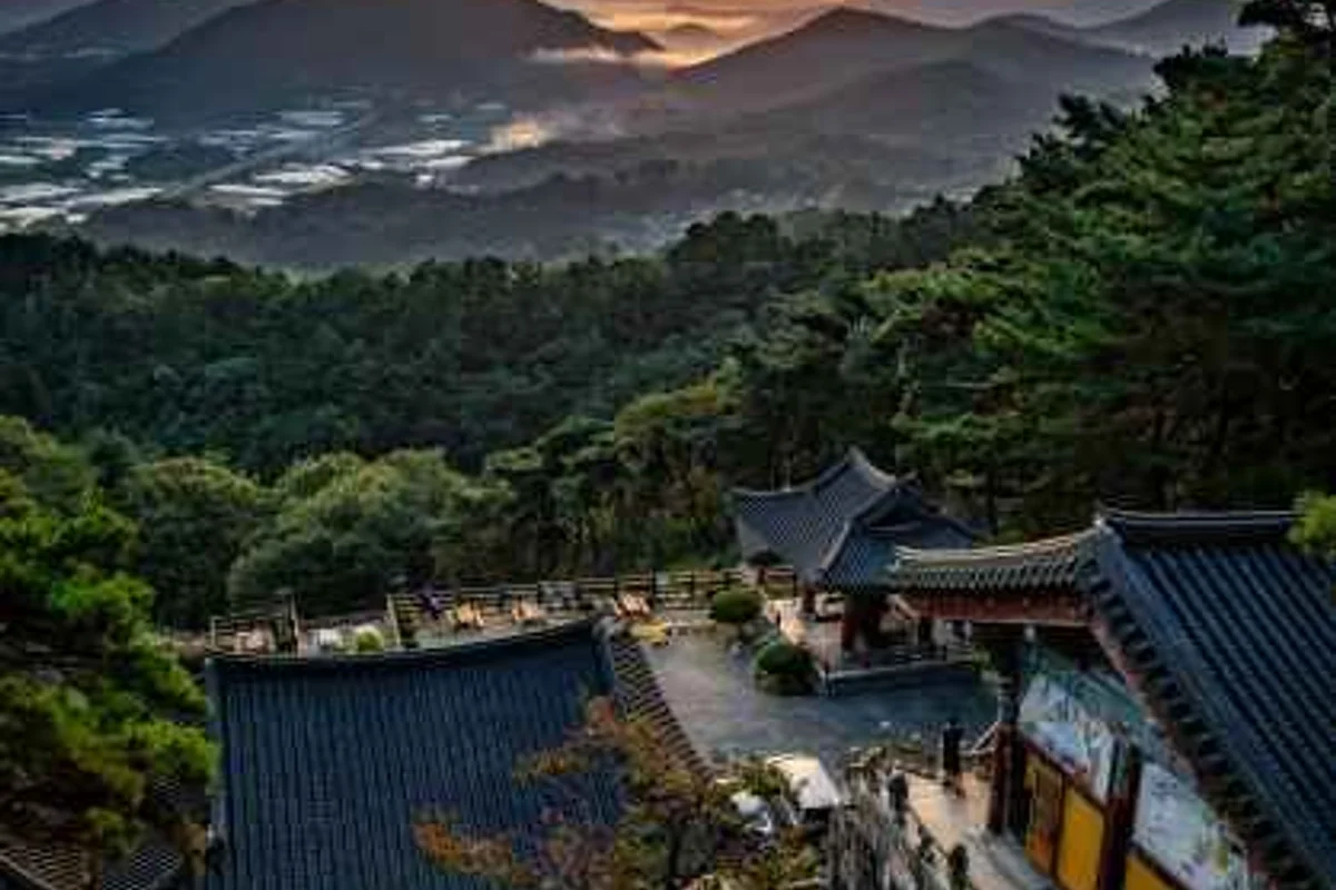 물건방조어부림 - 남해여행 여행