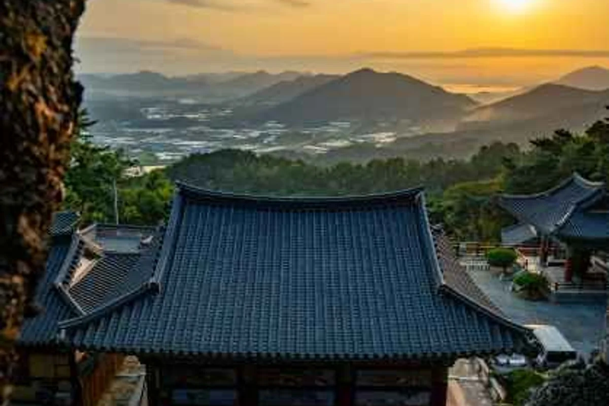 남해양떼목장 양마르뜨언덕 - 남해여행 여행