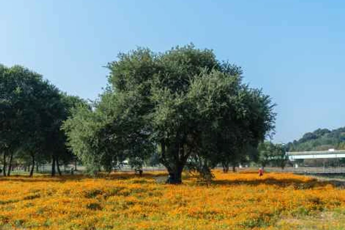 합천 호텔 추천 여행: 합천영상테마파크 - 합천여행 여행