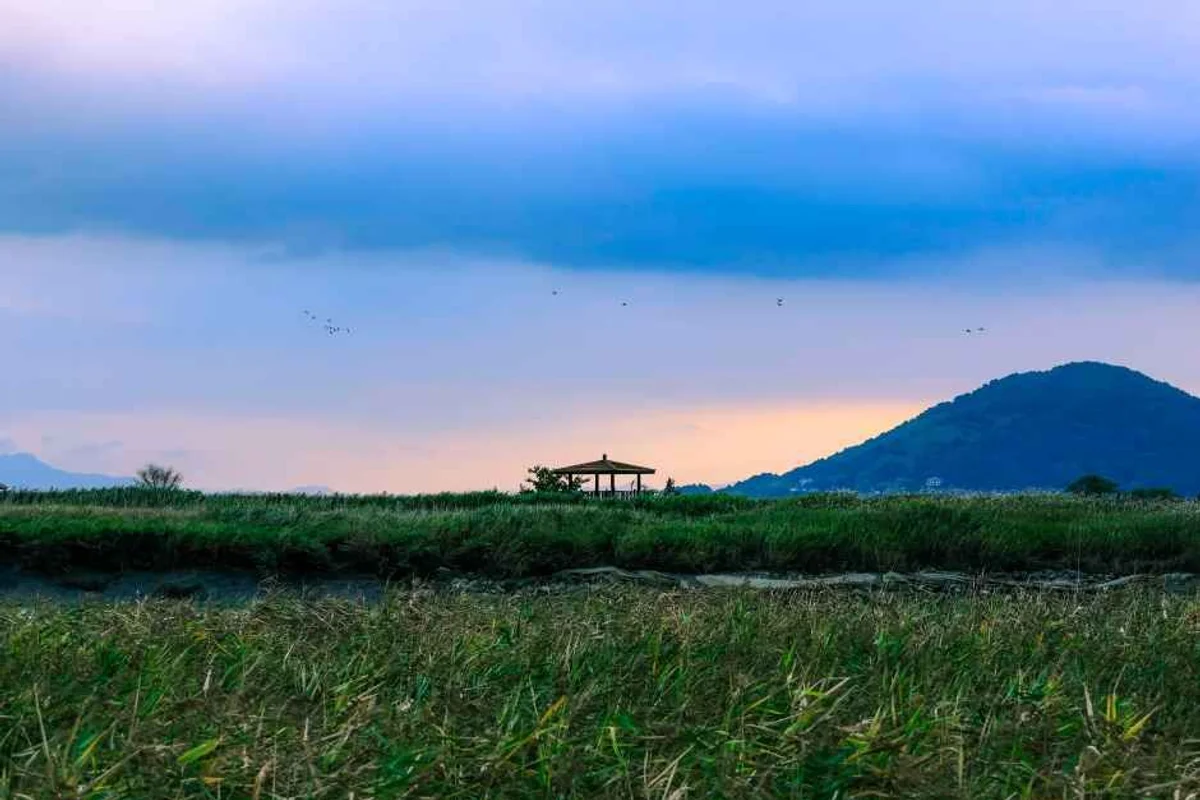 순천만습지 - 순천드라이브 여행