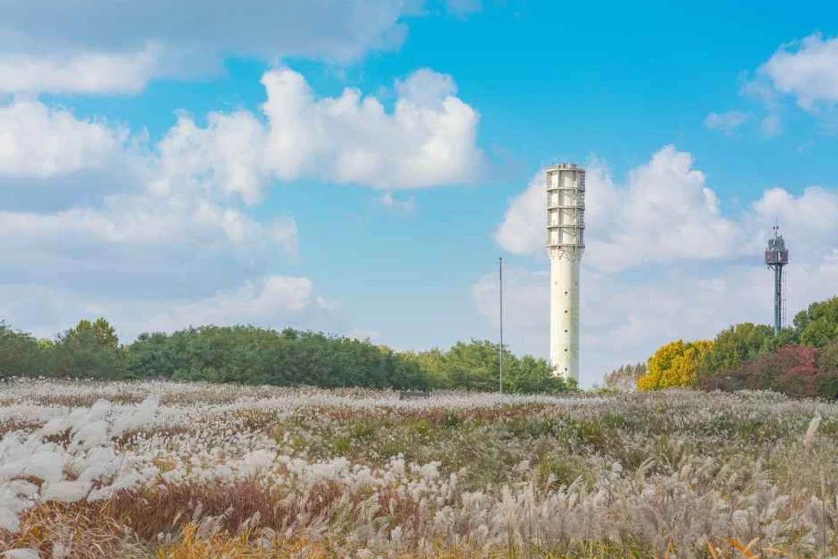 하늘공원 - 마포구 캠핑 여행